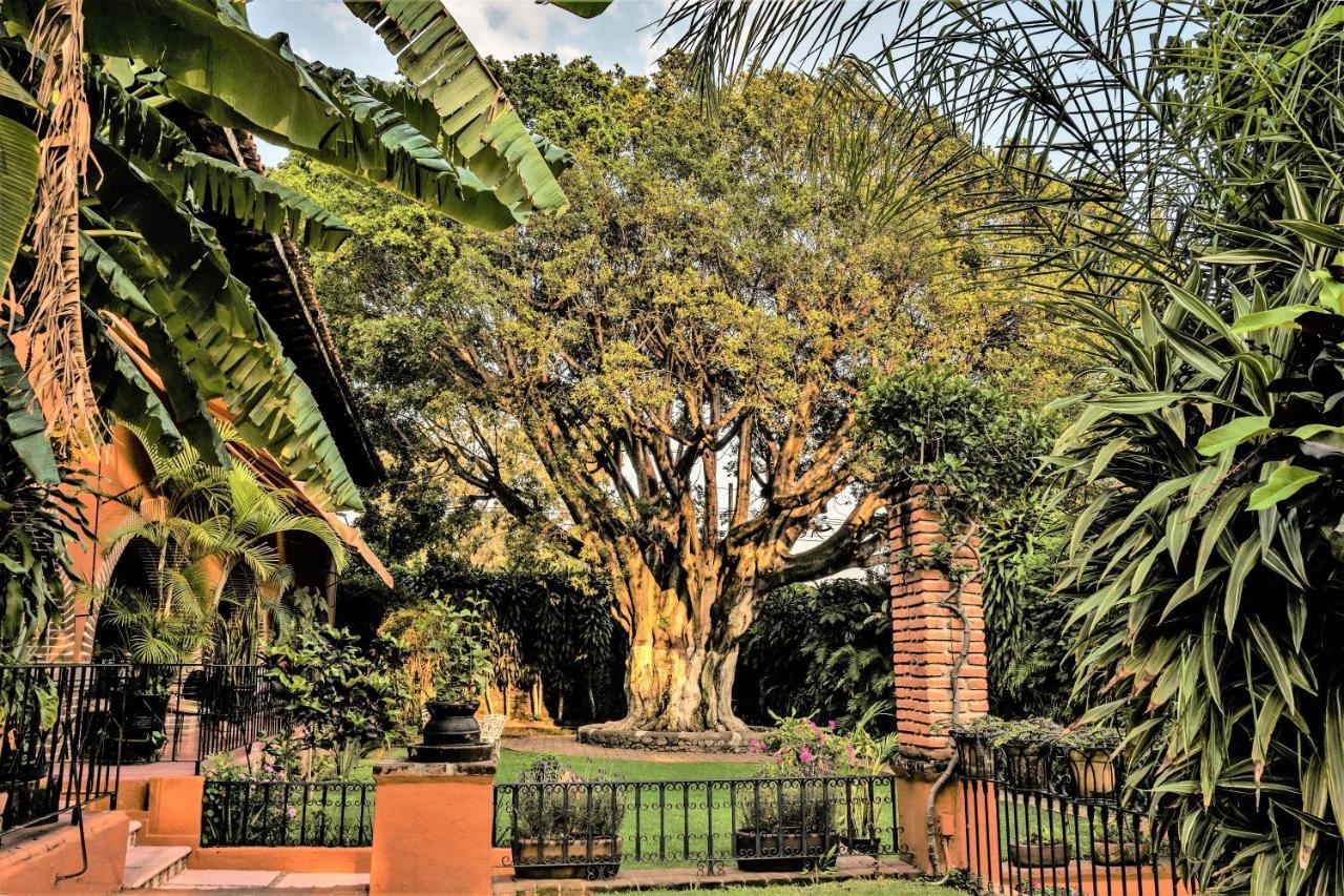 Hotel San Angelo Cuernavaca Exterior foto