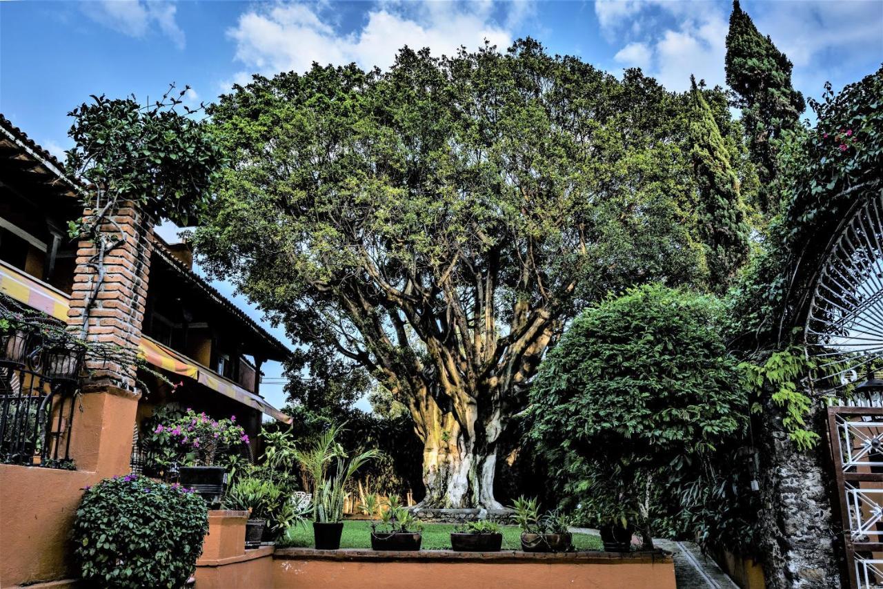 Hotel San Angelo Cuernavaca Exterior foto